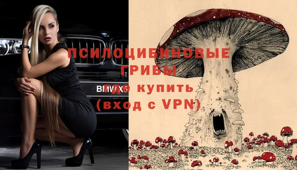 эйфоретик Беломорск