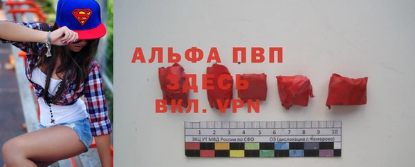 эйфоретик Беломорск